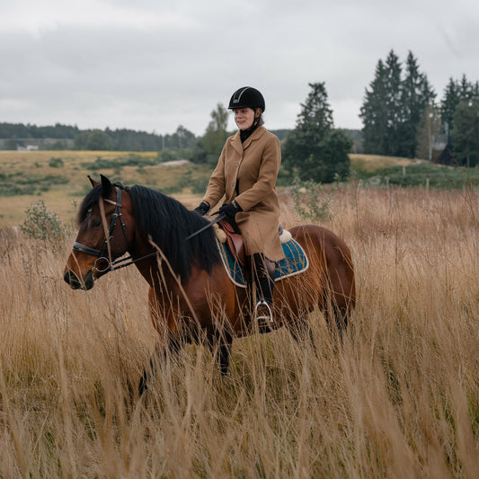 Horseback Trotter Package